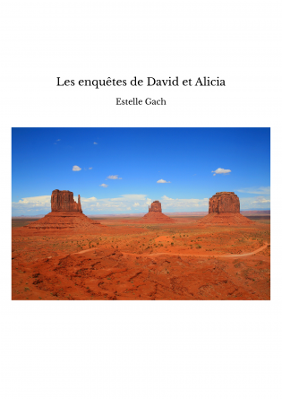 Les enquêtes de David et Alicia