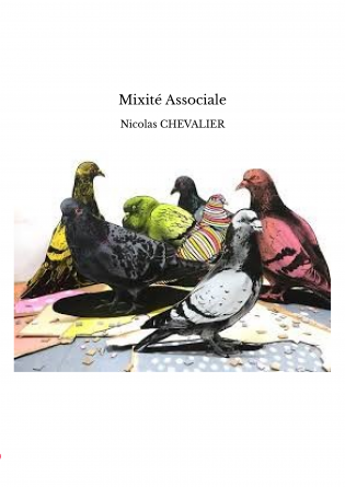 Mixité Associale