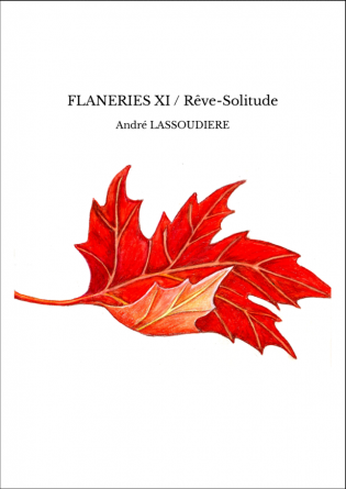 FLANERIES XI / Rêve-Solitude