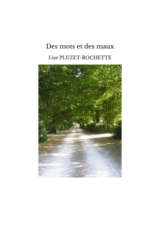 Des mots et des maux