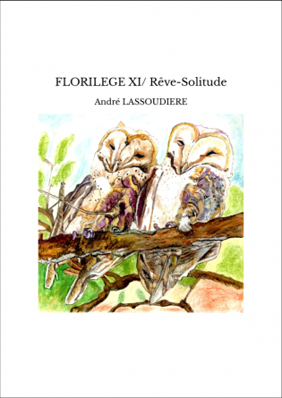 FLORILEGE XI/ Rêve-Solitude