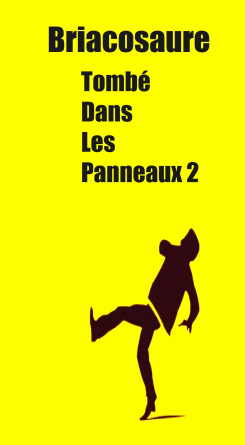 Tombé Dans Les Panneaux 2