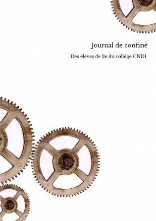 Journal de confiné