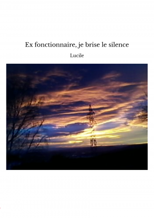 Ex fonctionnaire, je brise le silence