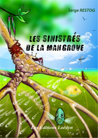 Les sinistrés de la mangrove