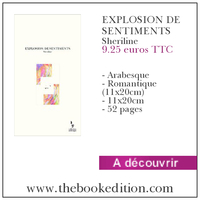 Le livre EXPLOSION DE SENTIMENTS