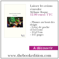 Le livre Laisser les avions s