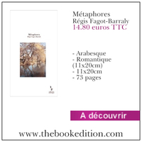 Le livre Métaphores