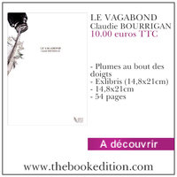 Le livre LE VAGABOND