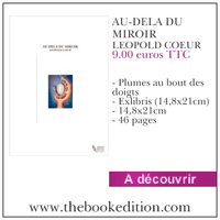 Le livre AU-DELA DU MIROIR