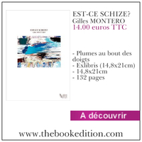 Le livre EST-CE SCHIZE?