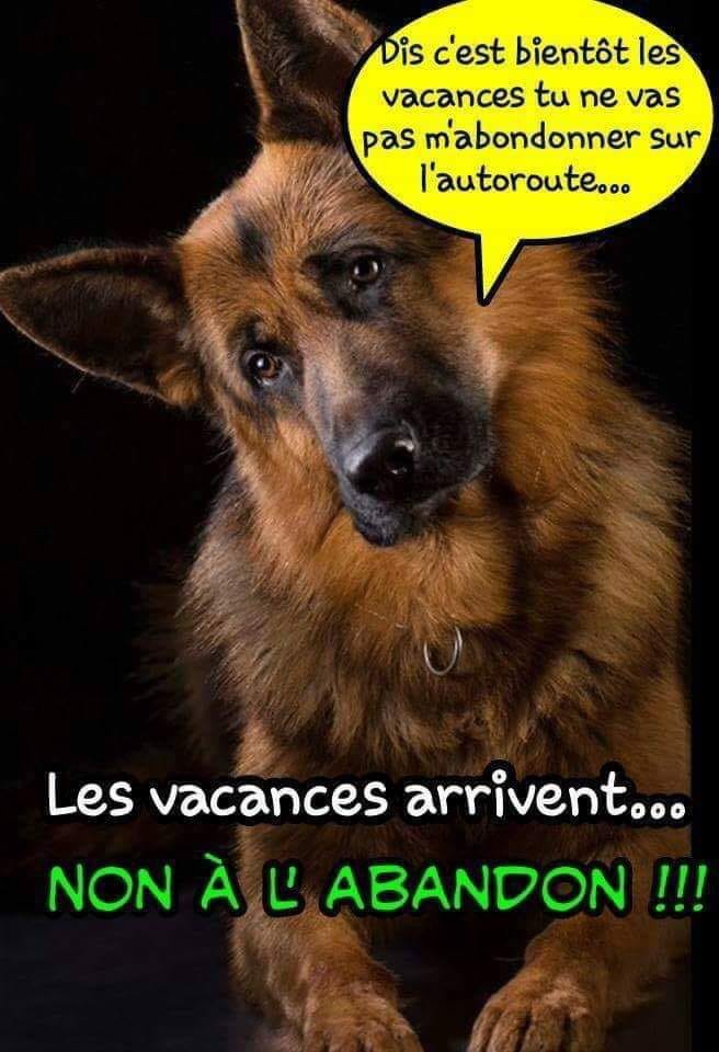 Arnaud Targat