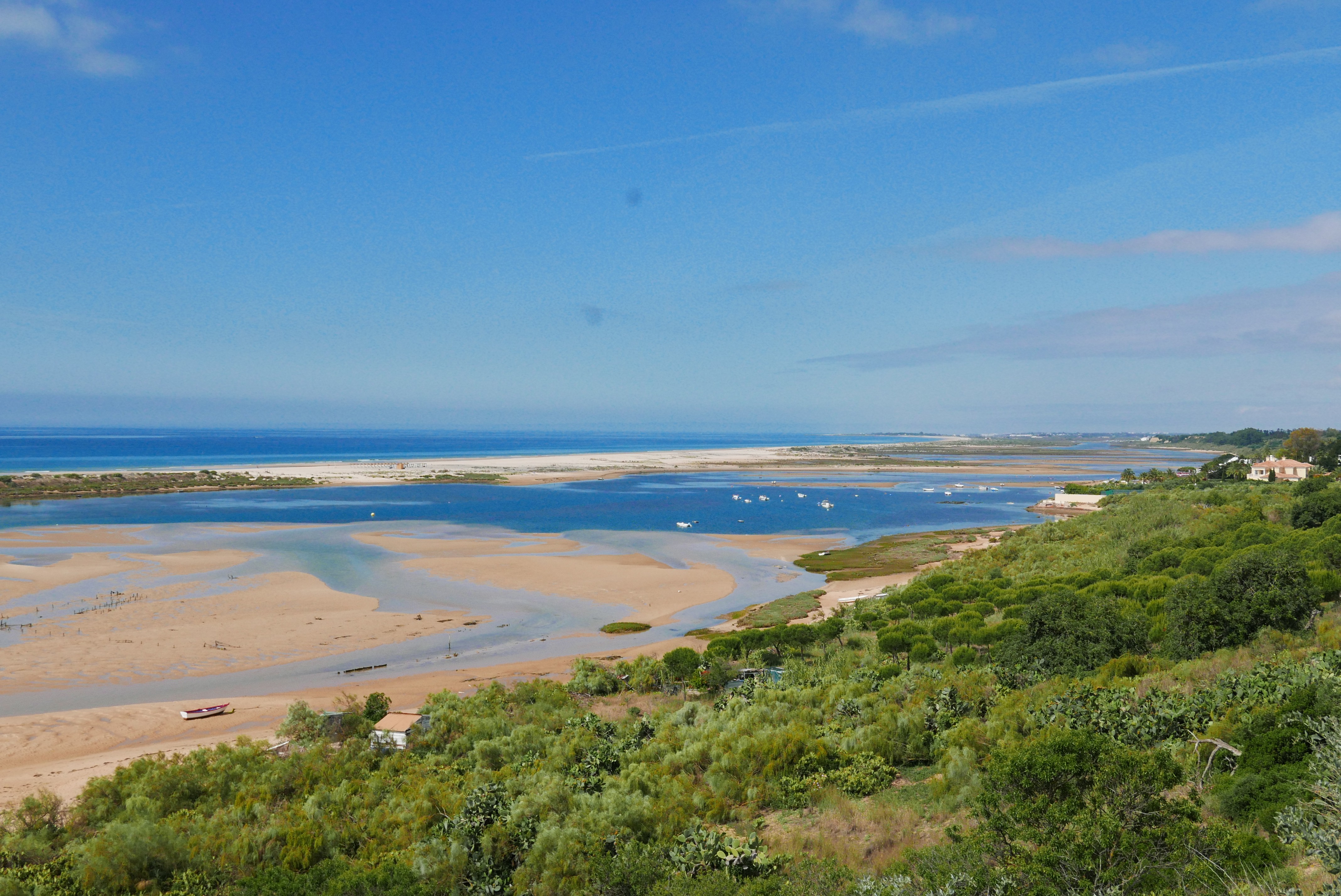 Elise Blutel Auteur TheBookEdition