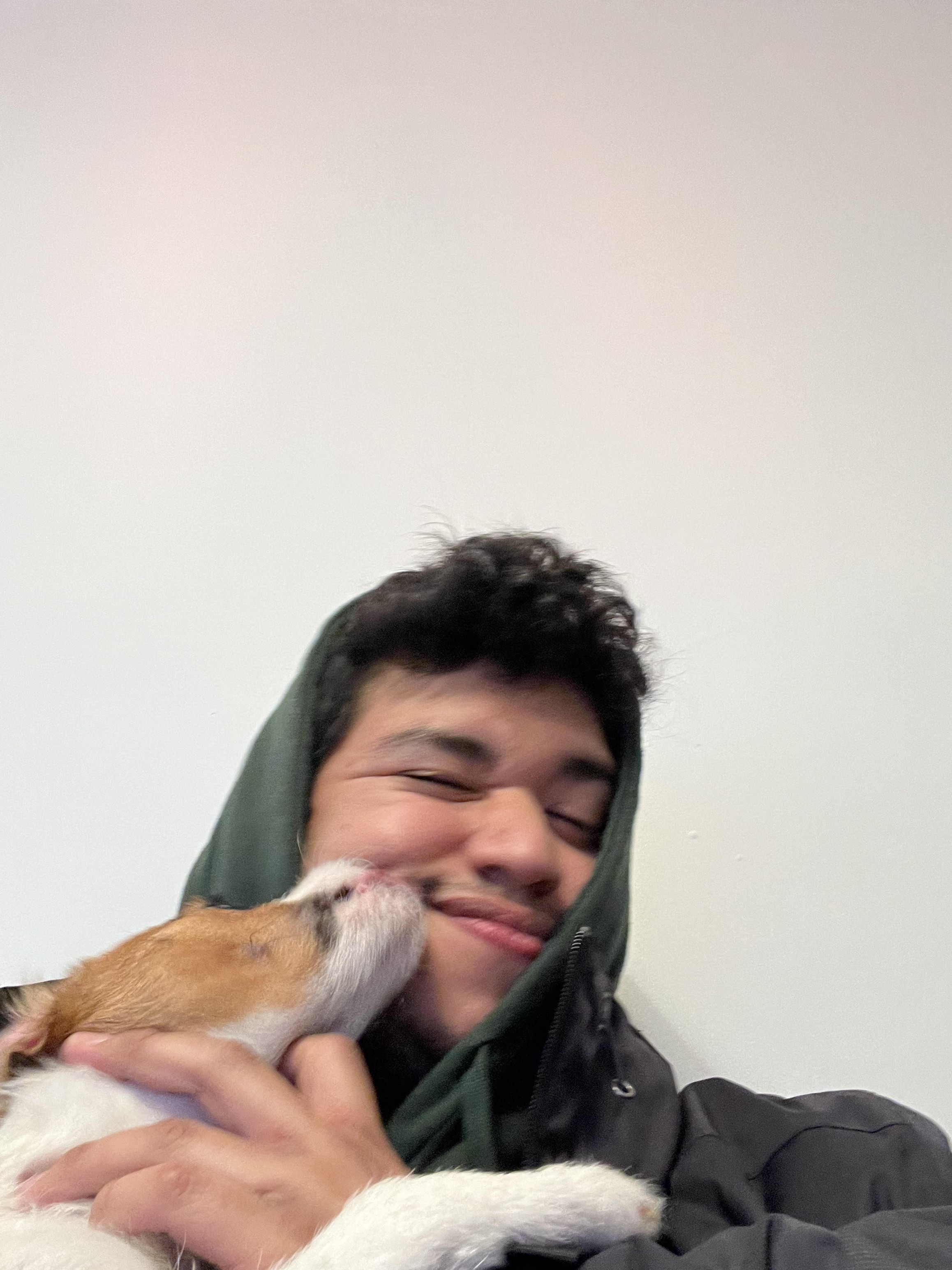Luis