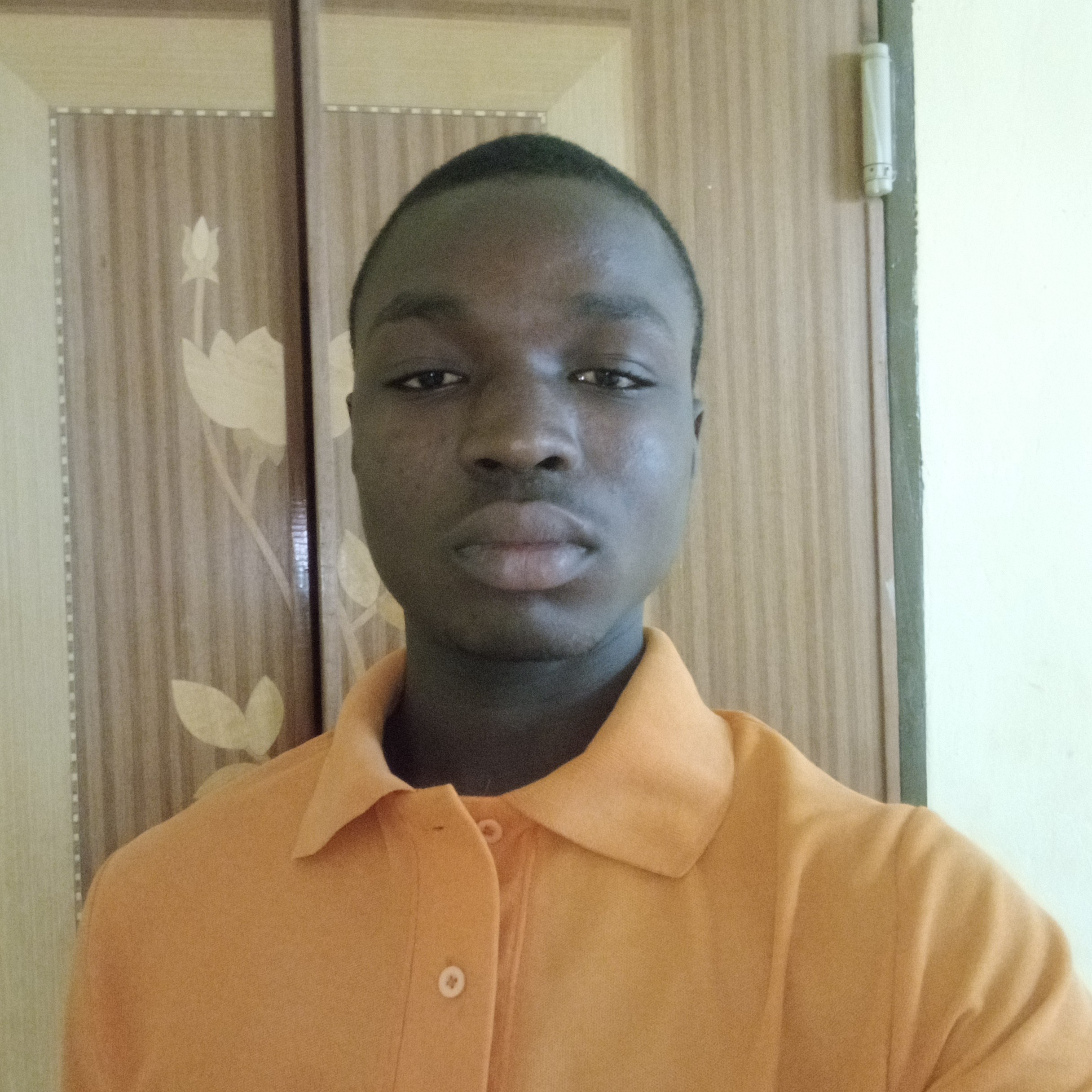 Lion d'Afrique