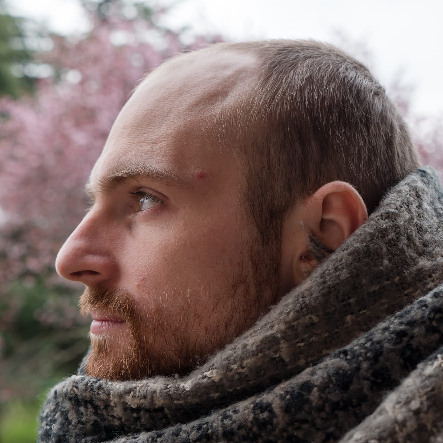 Guillaume Deloison